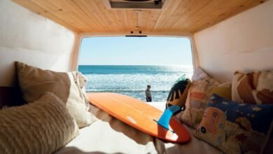 life through baja experiences