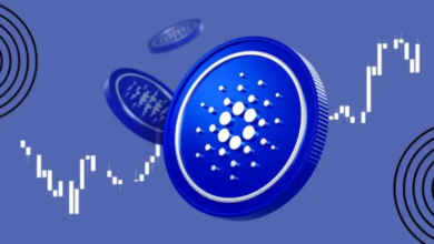 Is ADA Price USD Set to Soar? What Experts are Saying About Cardano's Future